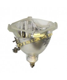 OSRAM P-VIP 100-120/1.0 E22H